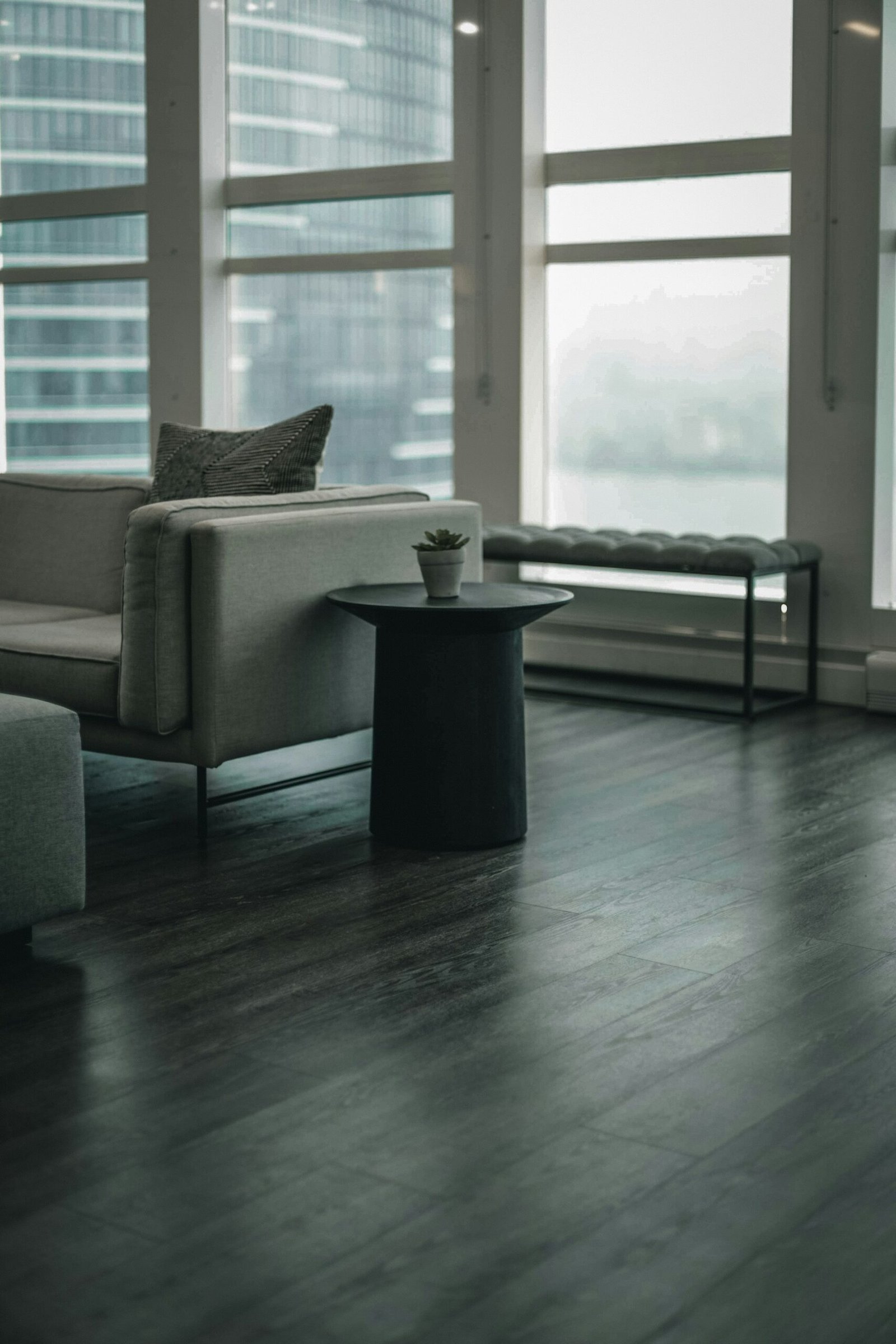 Modern living room with dark wood flooring